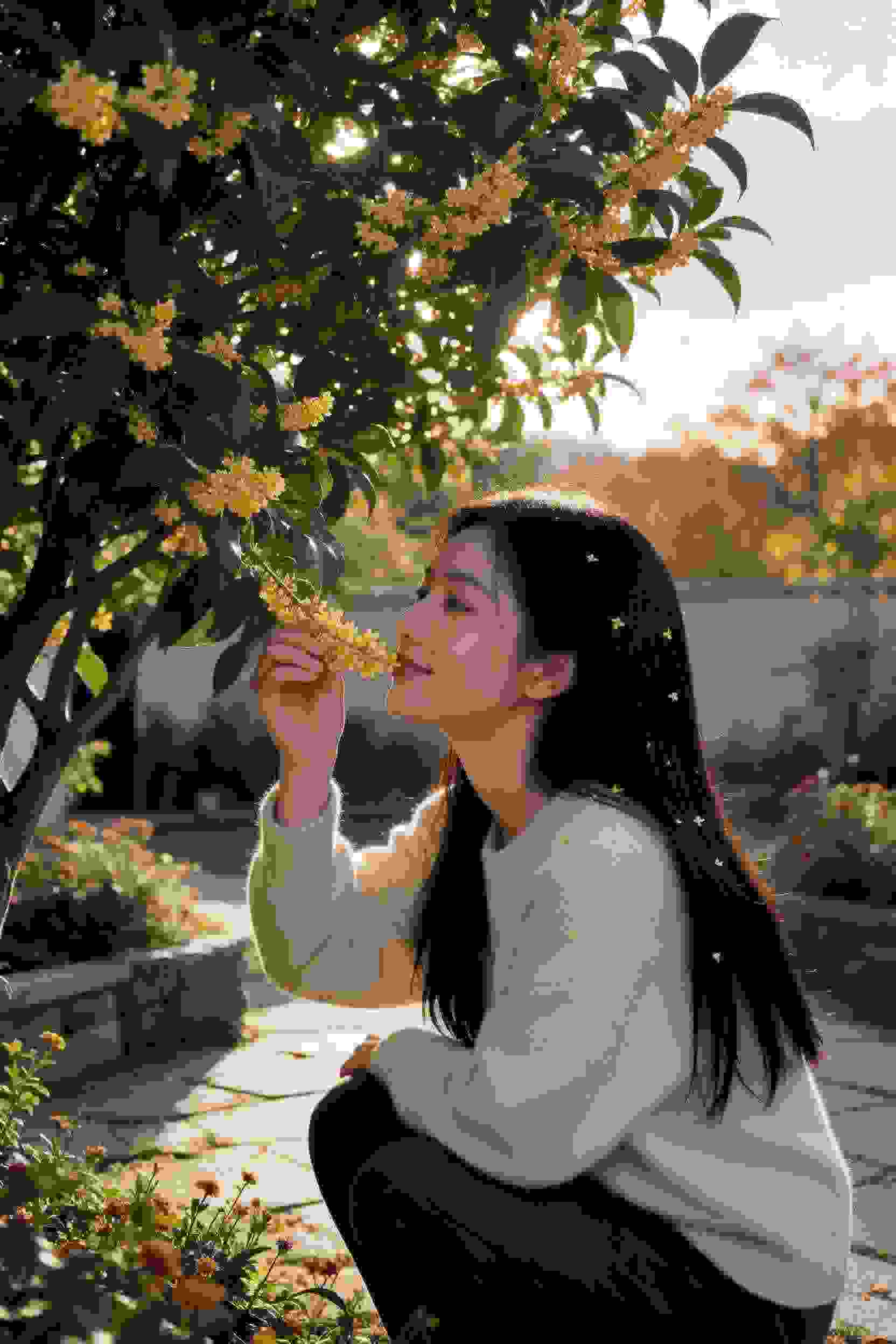 笑靥如常